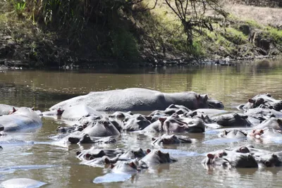 DSC_3498 (Large).JPG